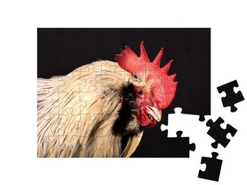 puzzleYOU Puzzle Nahhaufnahme: Hahn, 48 Puzzleteile, puzzleYOU-Kollektionen Hähne, Bauernhof-Tiere