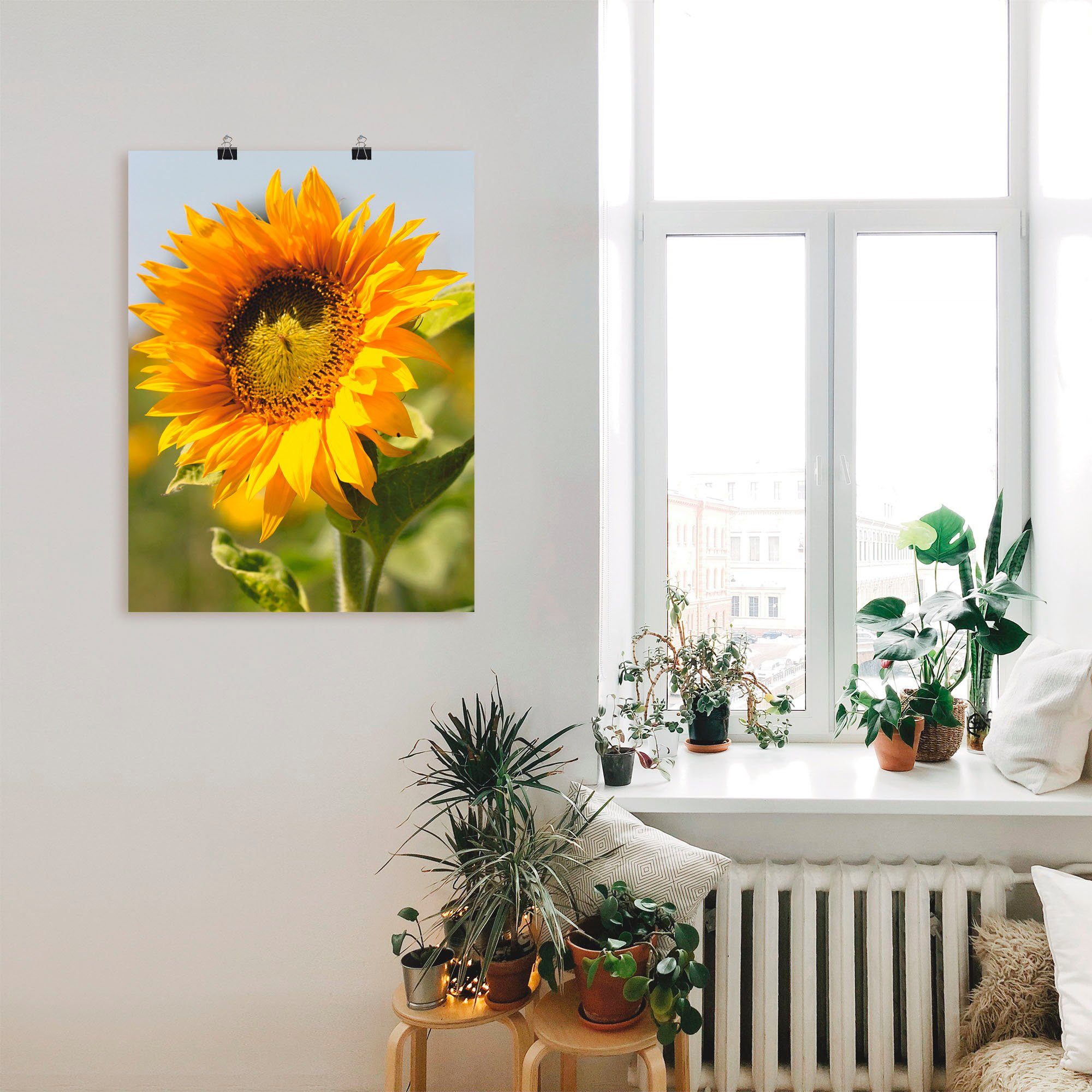 Artland Wandbild Sonnenblume, Blumen (1 St), als Leinwandbild, Poster in verschied. Größen