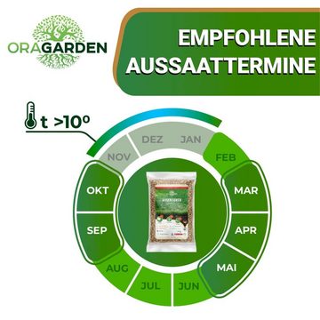 GreenEdge Rasendünger Rasensamen - diverse Sorten und Größen, Spiel-und-Sportrasen-400-GR, schnellkeimend, 100% natürlich, RSM-zertifiziert