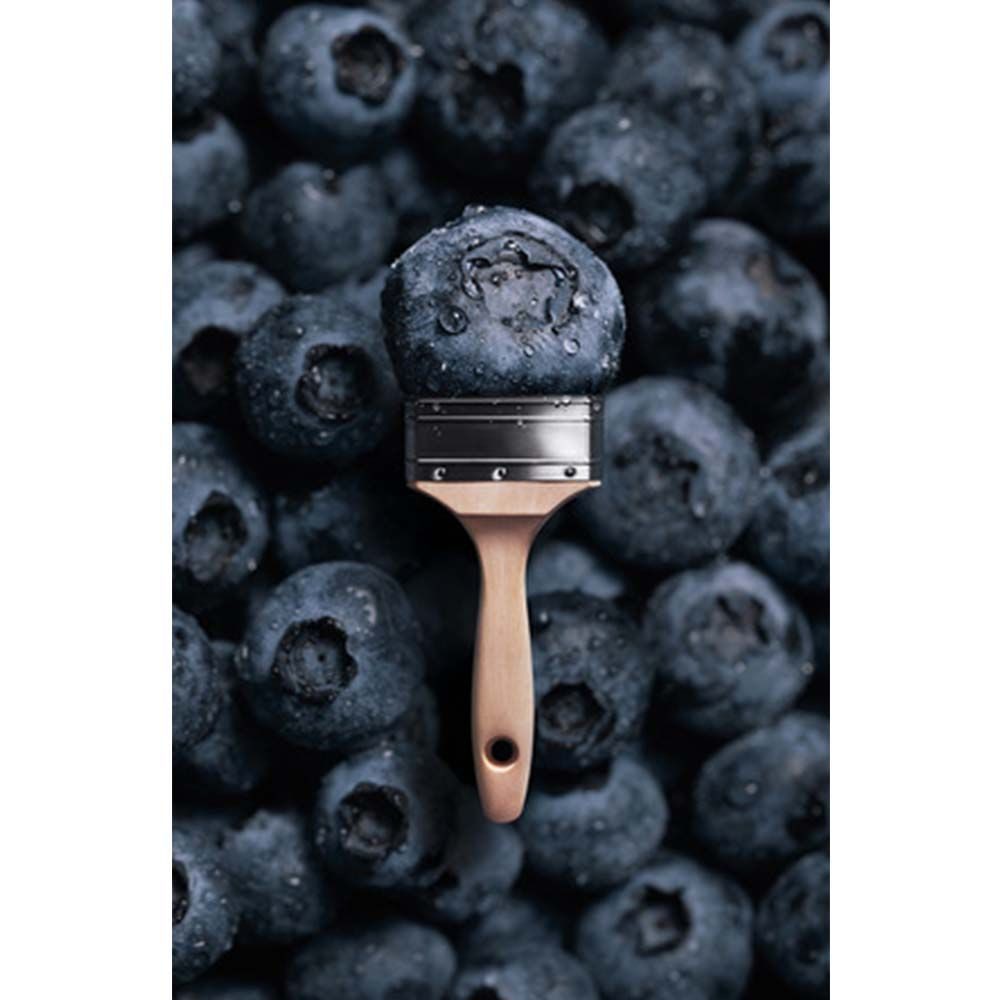 SCHÖNER WOHNEN FARBE Wandfarbe SW Trend Wandfarbe matt 2,5L blueberry 7504