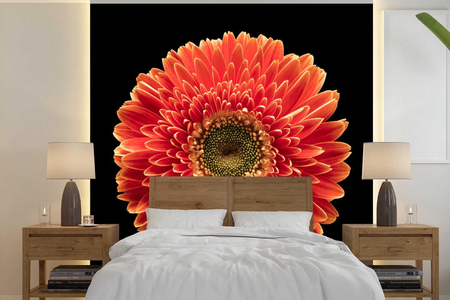 Tapete für Matt, schwarzem Eine Wandtapete Fototapete MuchoWow Gerbera-Blüte oder Vinyl Schlafzimmer, vor bedruckt, Wohnzimmer (5 orangefarbene Hintergrund, St),