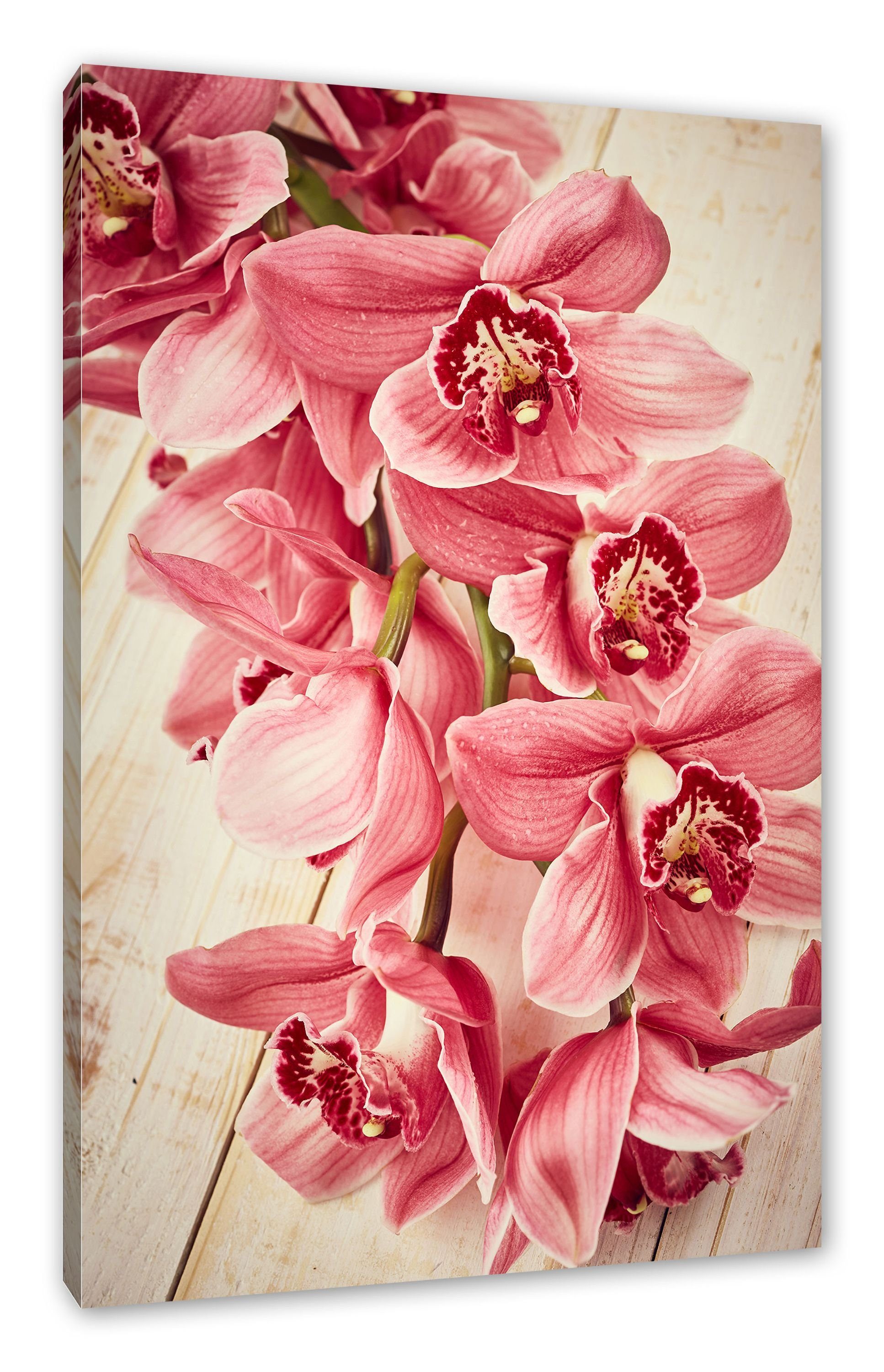 Pixxprint Leinwandbild Rosane Orchideenblüten, Rosane Orchideenblüten (1 St), Leinwandbild fertig bespannt, inkl. Zackenaufhänger
