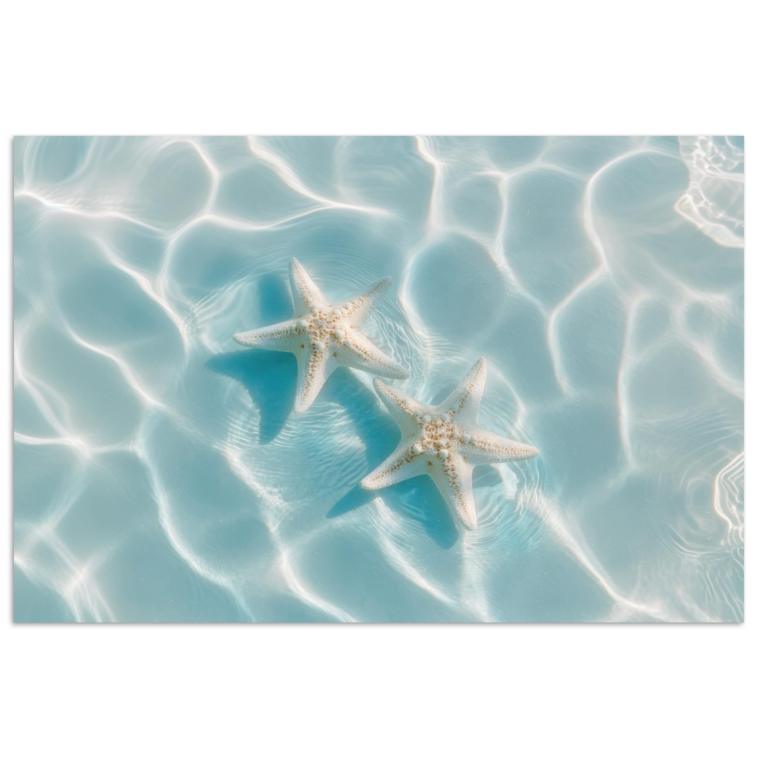 Poster Seesterne - Gewelltes Wasser - Beruhigend