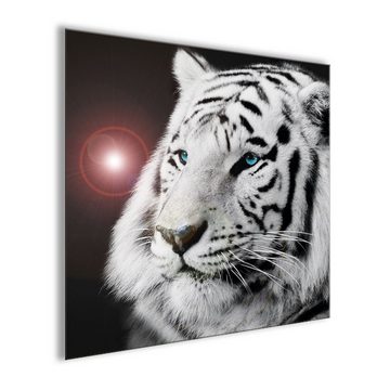 artissimo Glasbild Glasbild 30x30cm Bild schwarz-weiß Foto Tiger, schwarz-weiß Foto: Löwe