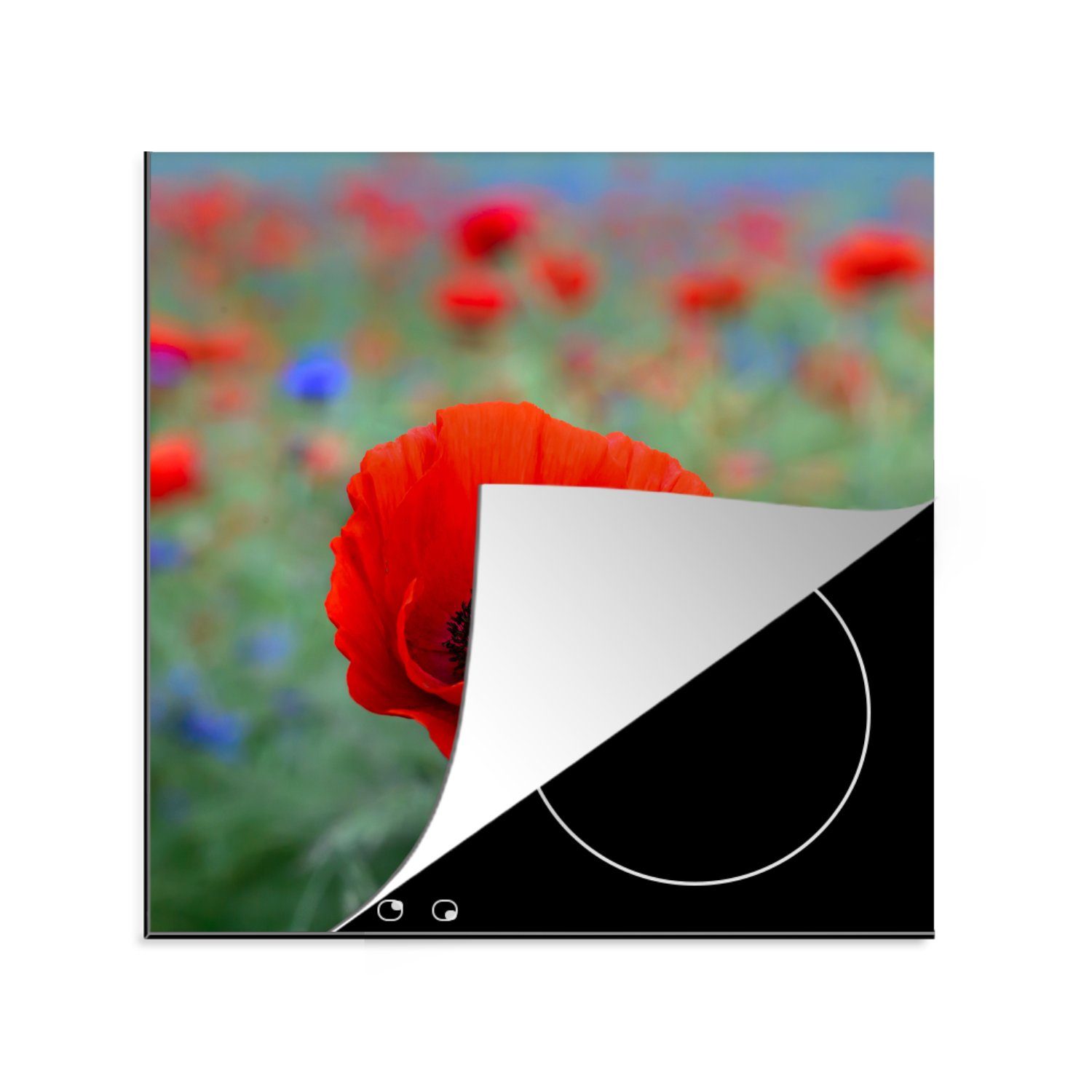 MuchoWow Herdblende-/Abdeckplatte Lila und rote Mohnblumen auf einer Wiese, Vinyl, (1 tlg), 78x78 cm, Ceranfeldabdeckung, Arbeitsplatte für küche