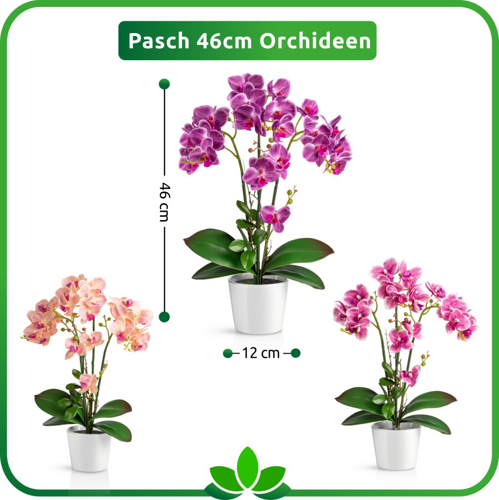 Kunstorchidee PASCH® Orchidee künstlich wie echt (46cm) in Hochglanz-Keramiktopf Orchidee, PASCH, Real Touch – Bild 5 von 5