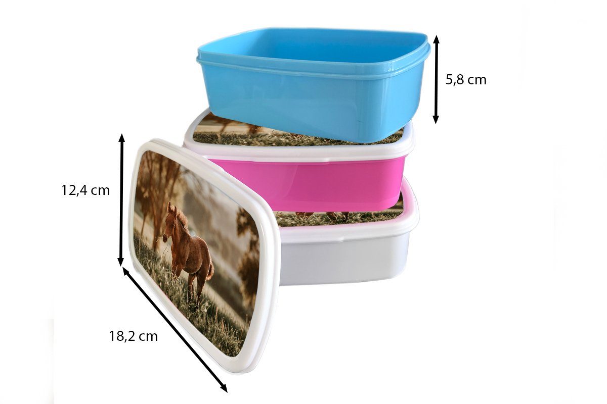 MuchoWow Lunchbox Pferd - Snackbox, - Mädchen, rosa Licht Erwachsene, (2-tlg), Kunststoff, Kinder, für Brotdose Kunststoff Wiese, Brotbox