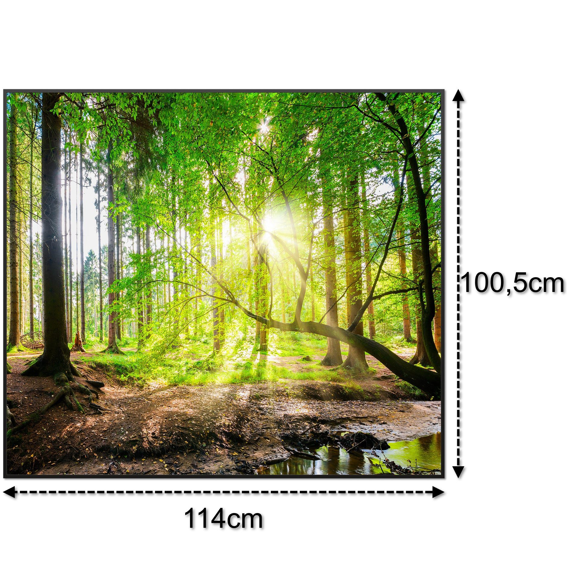 STEINFELD Heizsysteme Infrarotheizung Bild 1200W, 114x100cm, Made in Germany, 7 Jahre Garantie, mit Thermostat, Schwarz