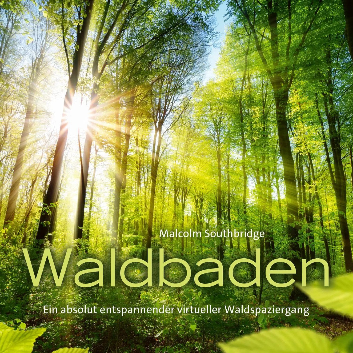 Hörspiel Waldbaden