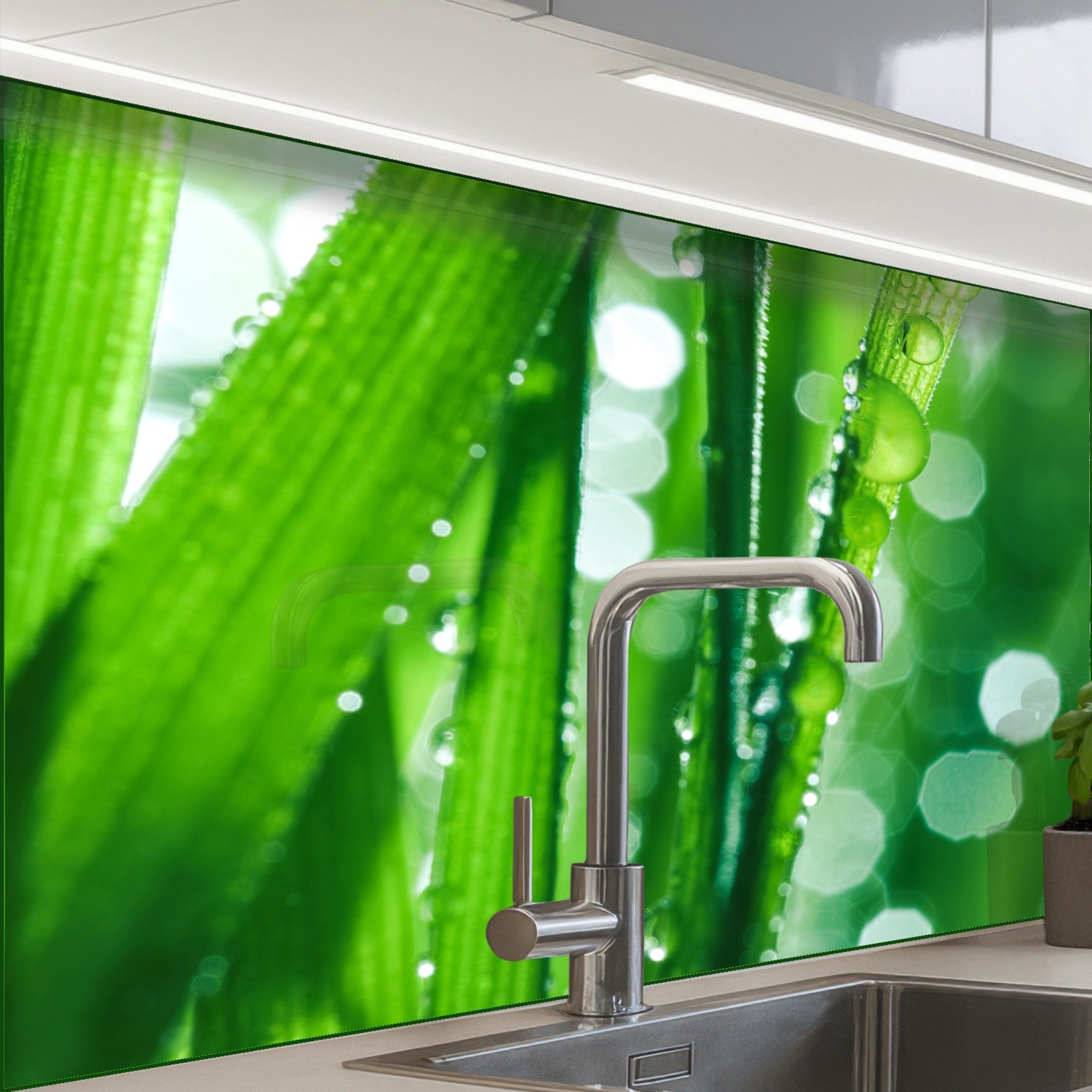 Natur – Gras – Grün