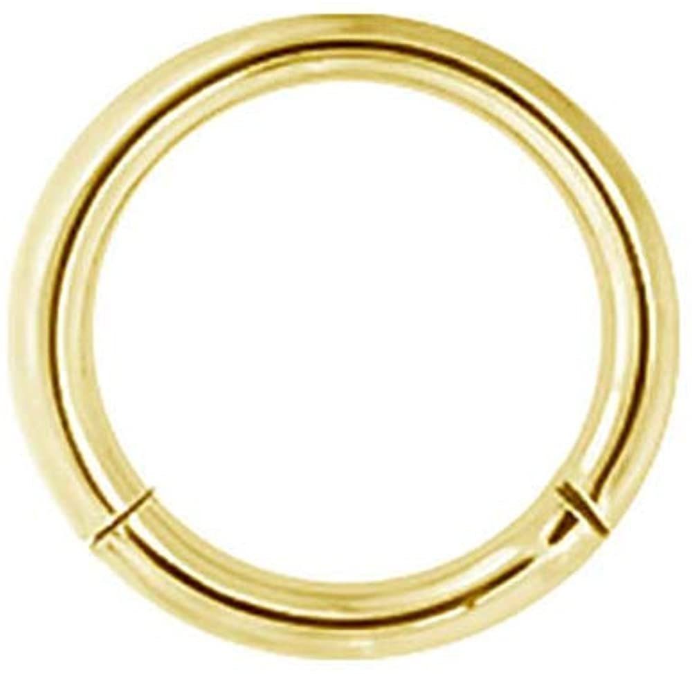 - Hinged Piercing Ring Clicker 1,2x8mm Titan Karisma Charnier/Septum Ohrring Helix Nasenpiercing Segmentring G23 Gold