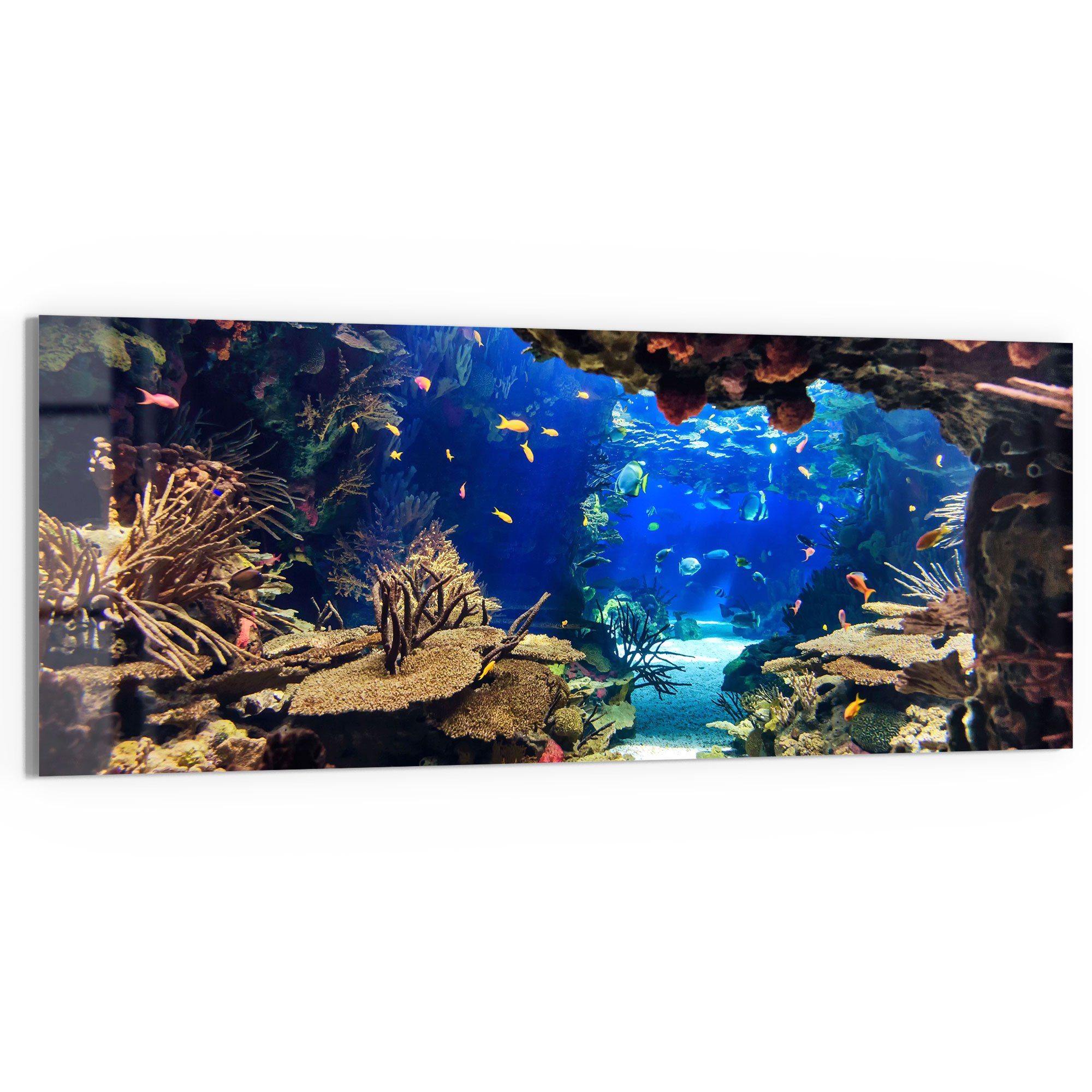 DEQORI Glasbild 'Exotisches Aquarium', 'Exotisches Aquarium', günstig online kaufen