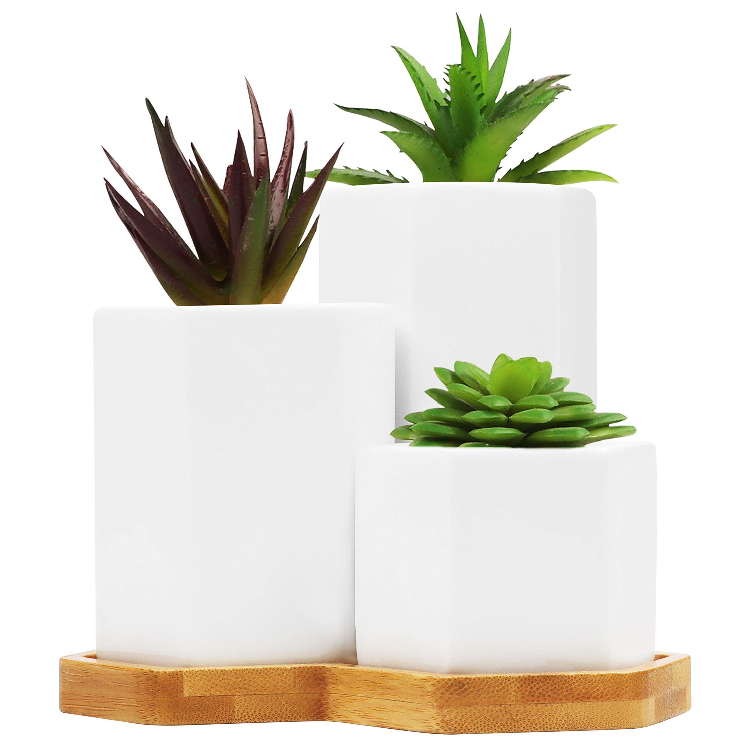 Belle Vous Blumentopf Weiße Sukkulententöpfe mit Bambus-Tablett (3er-Pack), White Succulent Pots with Bamboo Tray (3-Pack)