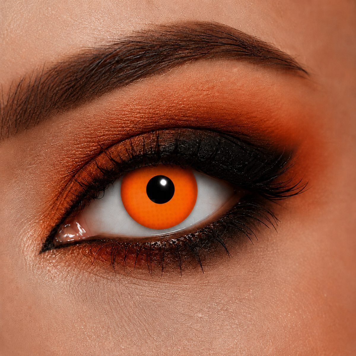 feiermeier Motivlinsen Feiermeier Farbige Wochenlinsen Halloween, Motivwahl