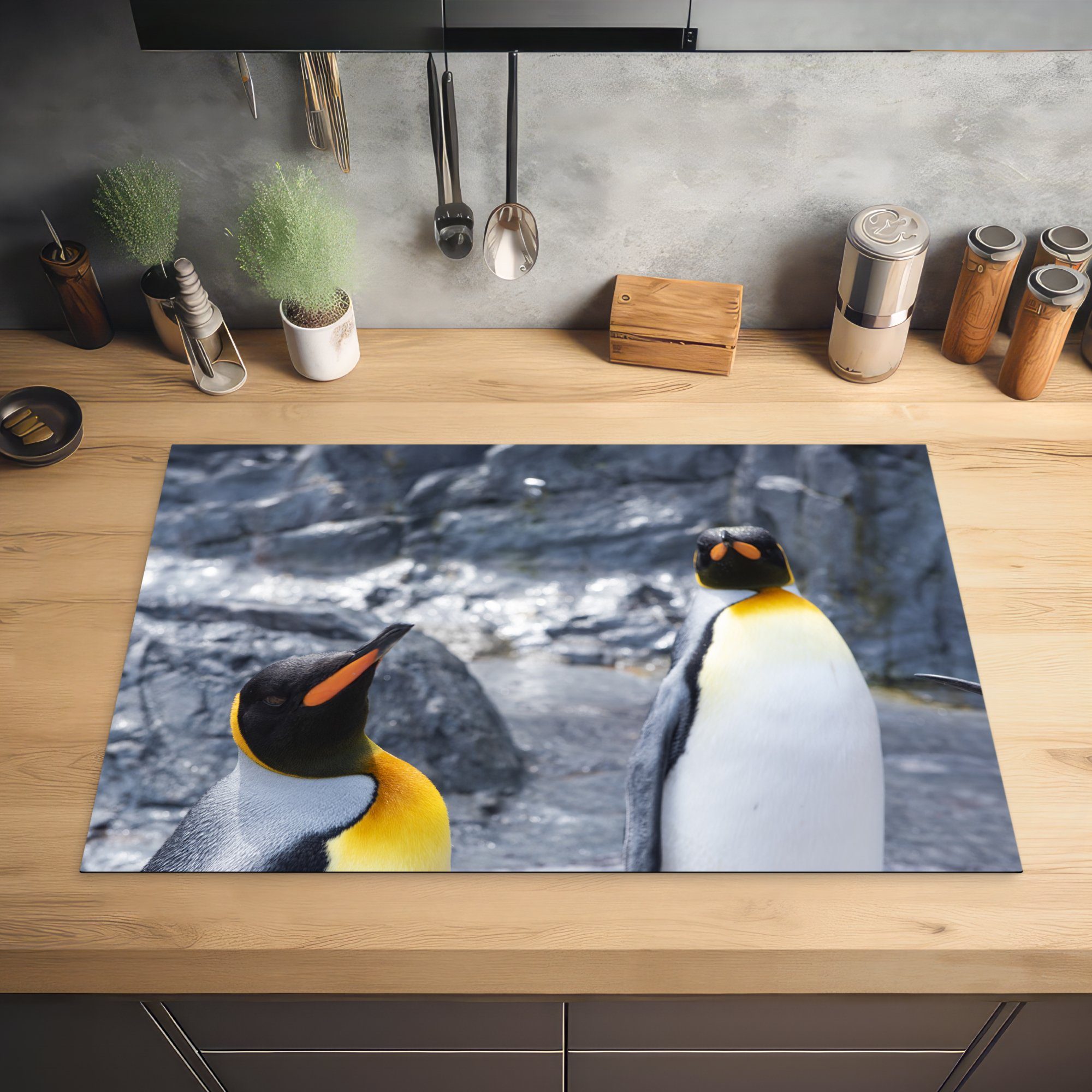 Gebiet, Herdblende-/Abdeckplatte 81x52 Induktionskochfeld in die Zwei küche, einem Schutz tlg), cm, felsigen Vinyl, MuchoWow Pinguine Ceranfeldabdeckung (1 für