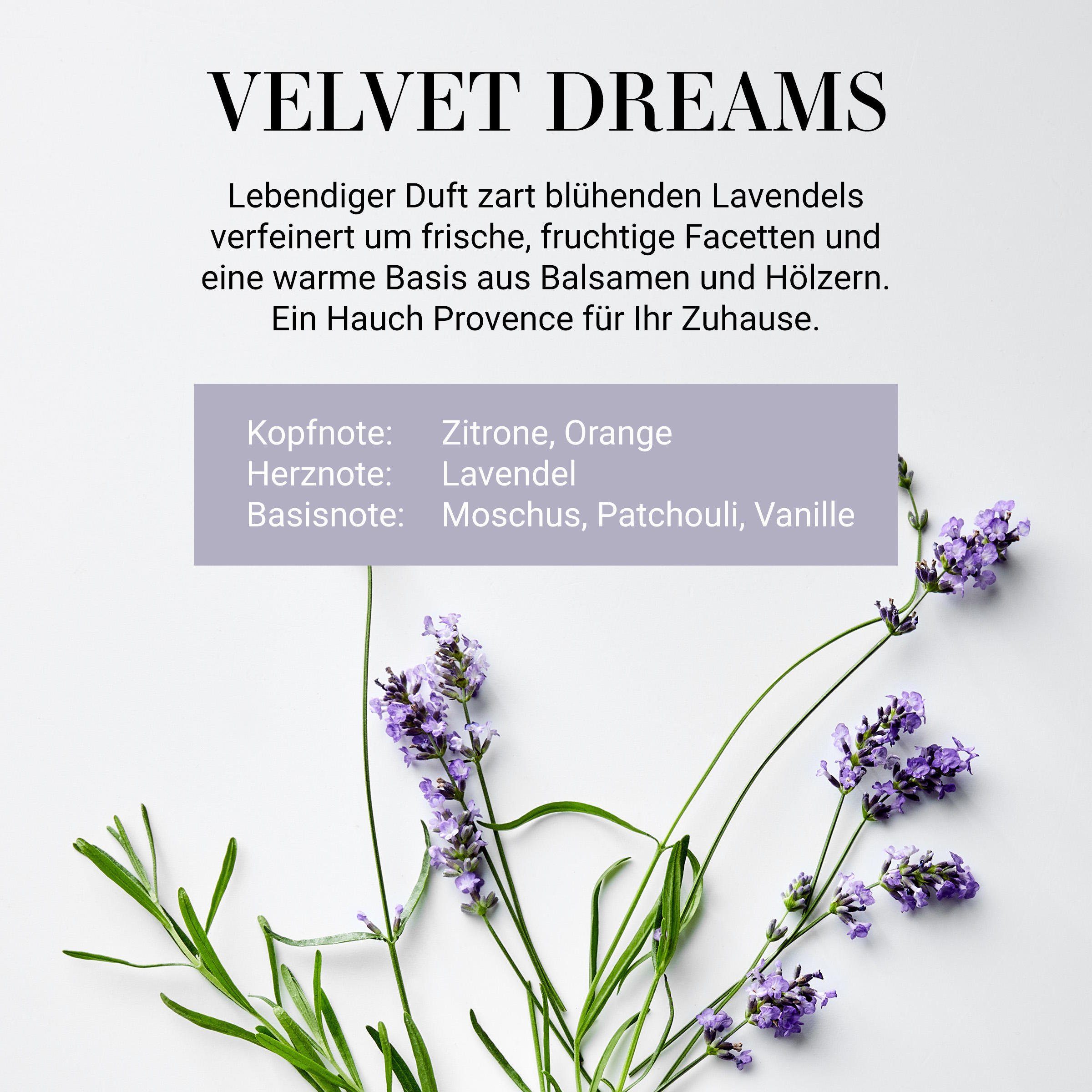 "Velvet HOME Duftlampe 3 BUTLERS SOUL & Raumduft Dreams" 110ml No