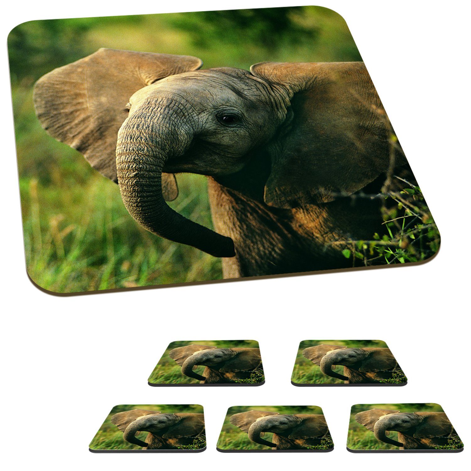 Tasse MuchoWow - Glasuntersetzer Untersetzer, für Natur, Elefant Grün Tiere - Glasuntersetzer, - Korkuntersetzer, Tischuntersetzer, Gläser, Zubehör 6-tlg.,