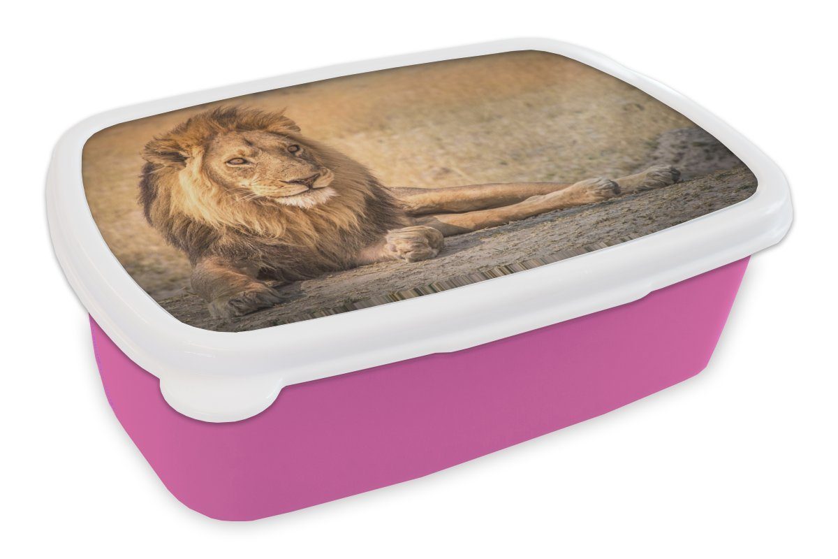 Kunststoff Savanne, Löwe Kinder, - Erwachsene, - Lunchbox rosa Nahaufnahme Kunststoff, MuchoWow für Mädchen, Brotdose Snackbox, Brotbox (2-tlg),