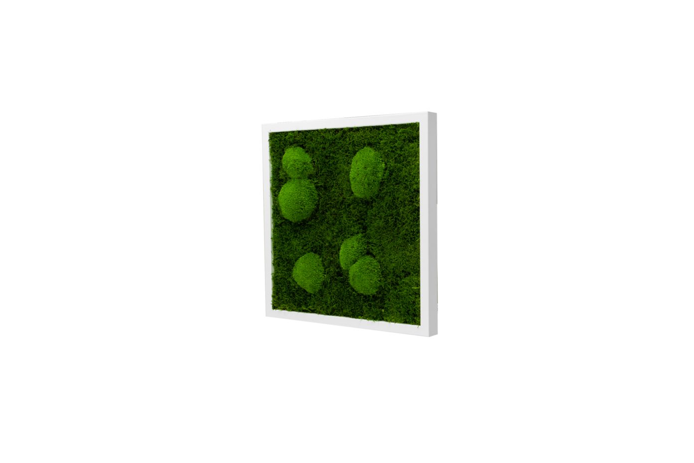 Moos-Design Bilderrahmen Moos Bild Forest Design günstig online kaufen