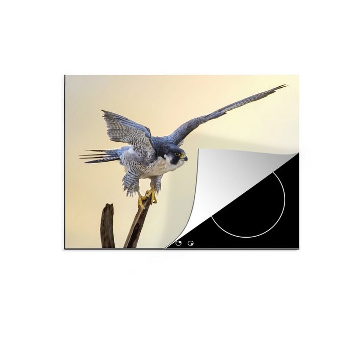 MuchoWow Herdblende-/Abdeckplatte Raubvögel - Falke - Zweig Vinyl (1 tlg) induktionskochfeld Schutz für die küche Ceranfeldabdeckung