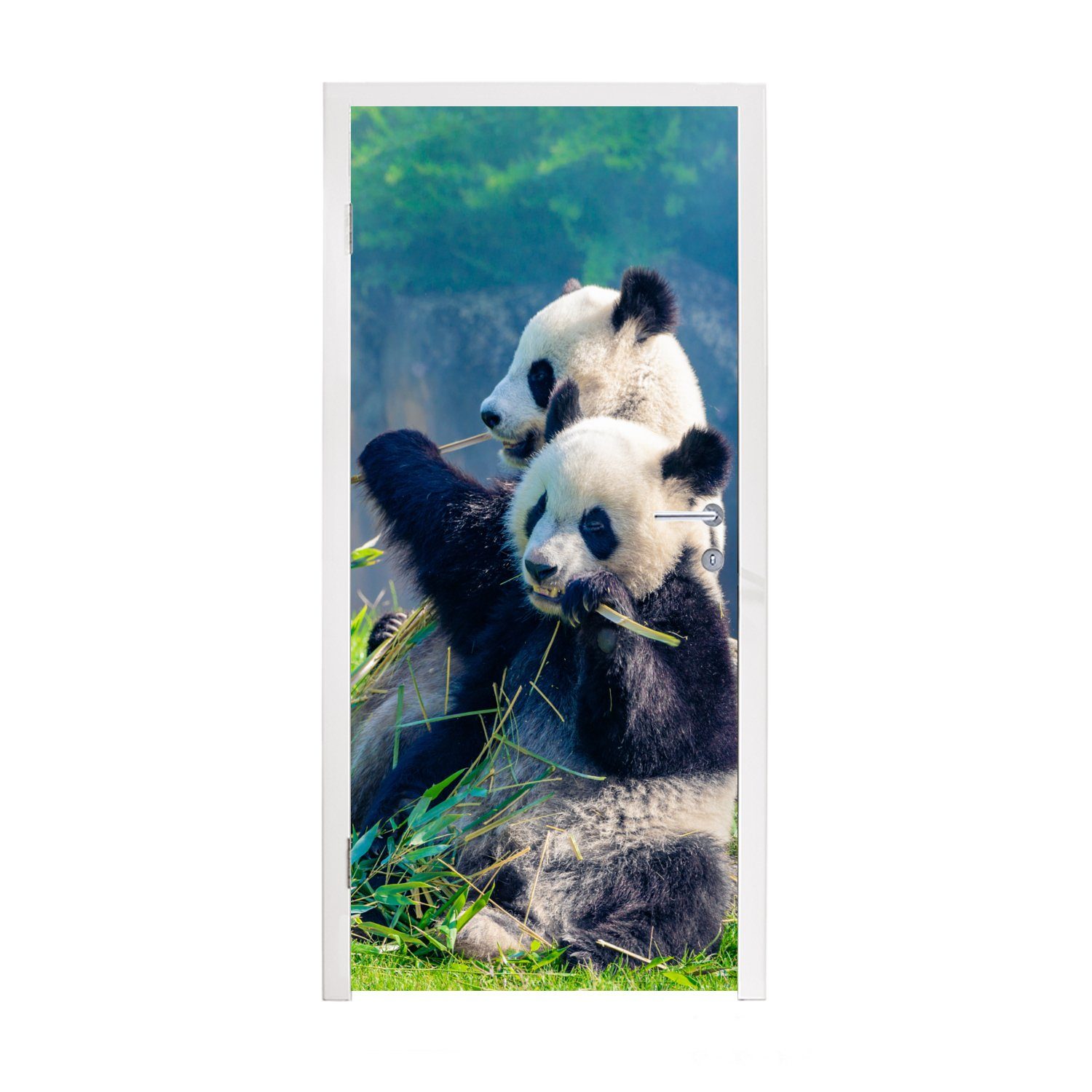 St), Bambus Tür, Panda für - Tiere, (1 cm Gras Türaufkleber, Türtapete Fototapete - bedruckt, - 75x205 MuchoWow Matt,