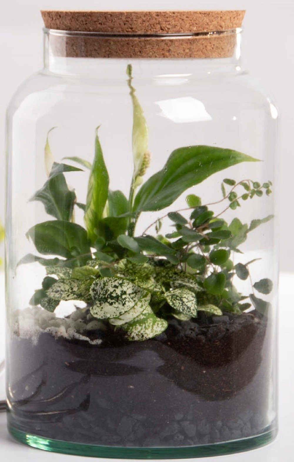 7L Pflanzen - esschert Flasche Gewächs Glas Deko design Terrarium - WAHL Übertopf 2. Halboffene