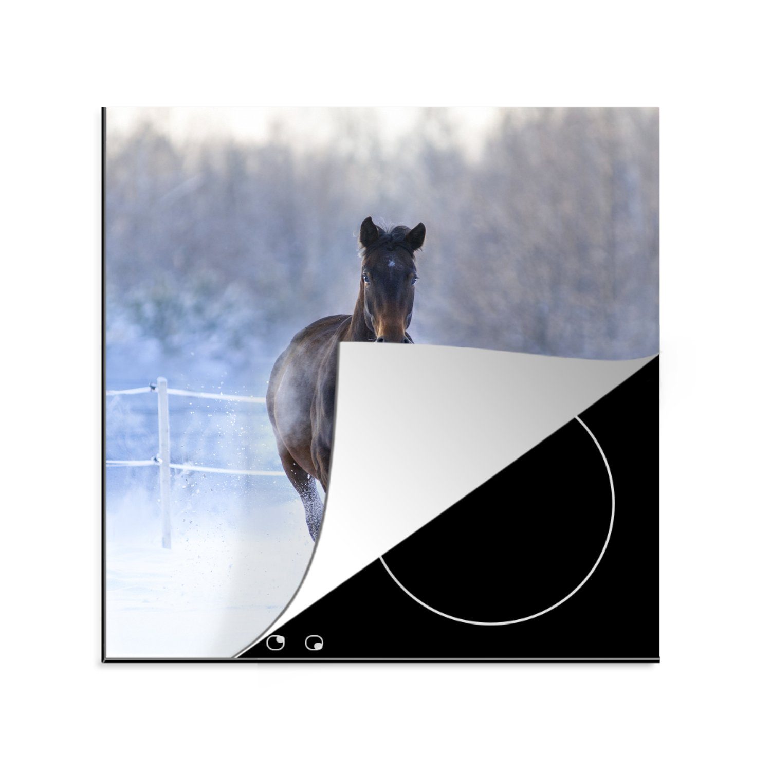 MuchoWow Herdblende-/Abdeckplatte Pferd - Schnee - Winter - Zaun, Vinyl, (1 tlg), 78x78 cm, Ceranfeldabdeckung, Arbeitsplatte für küche