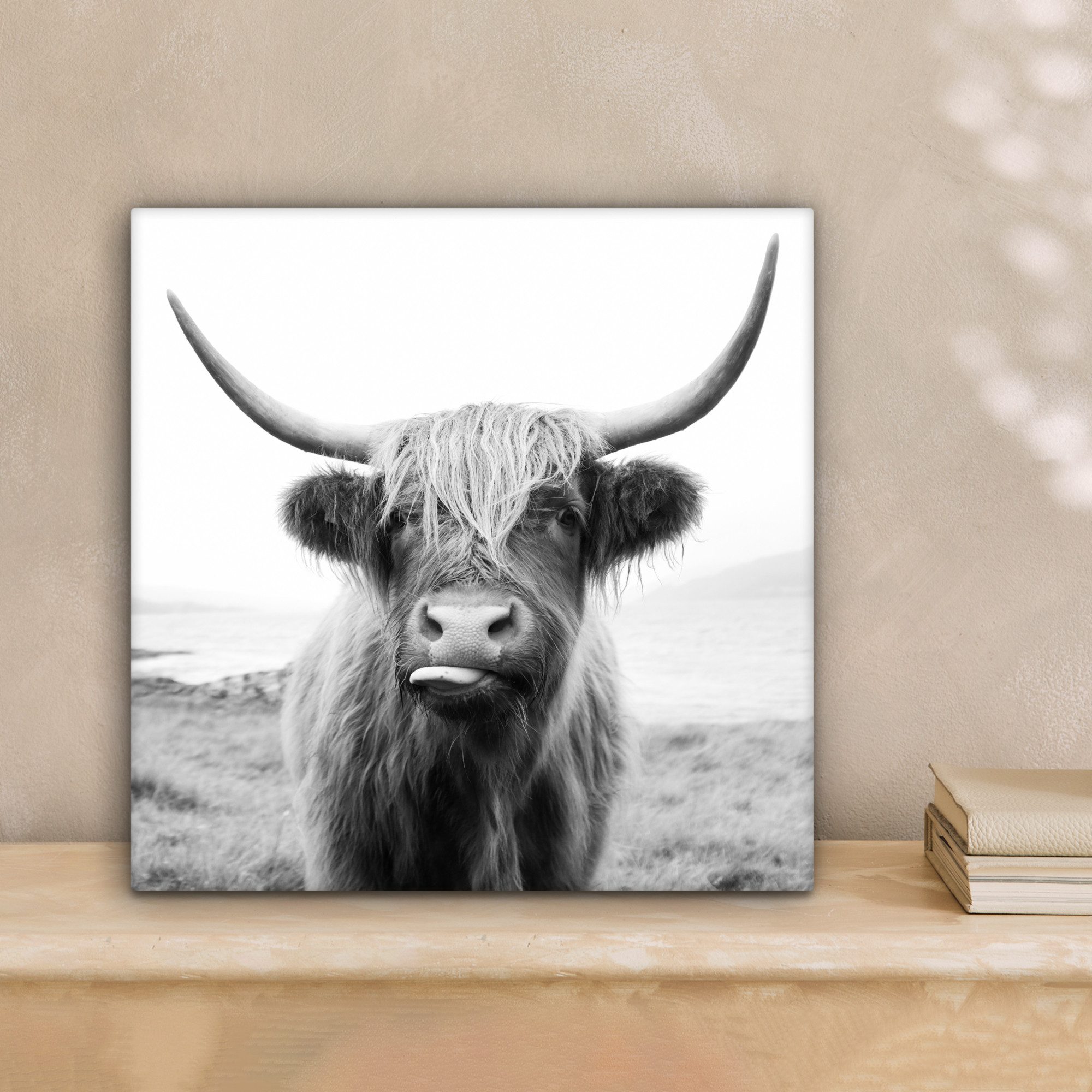 OneMillionCanvasses® Leinwandbild Tiere - Schottischer Highlander - Kuh - S günstig online kaufen