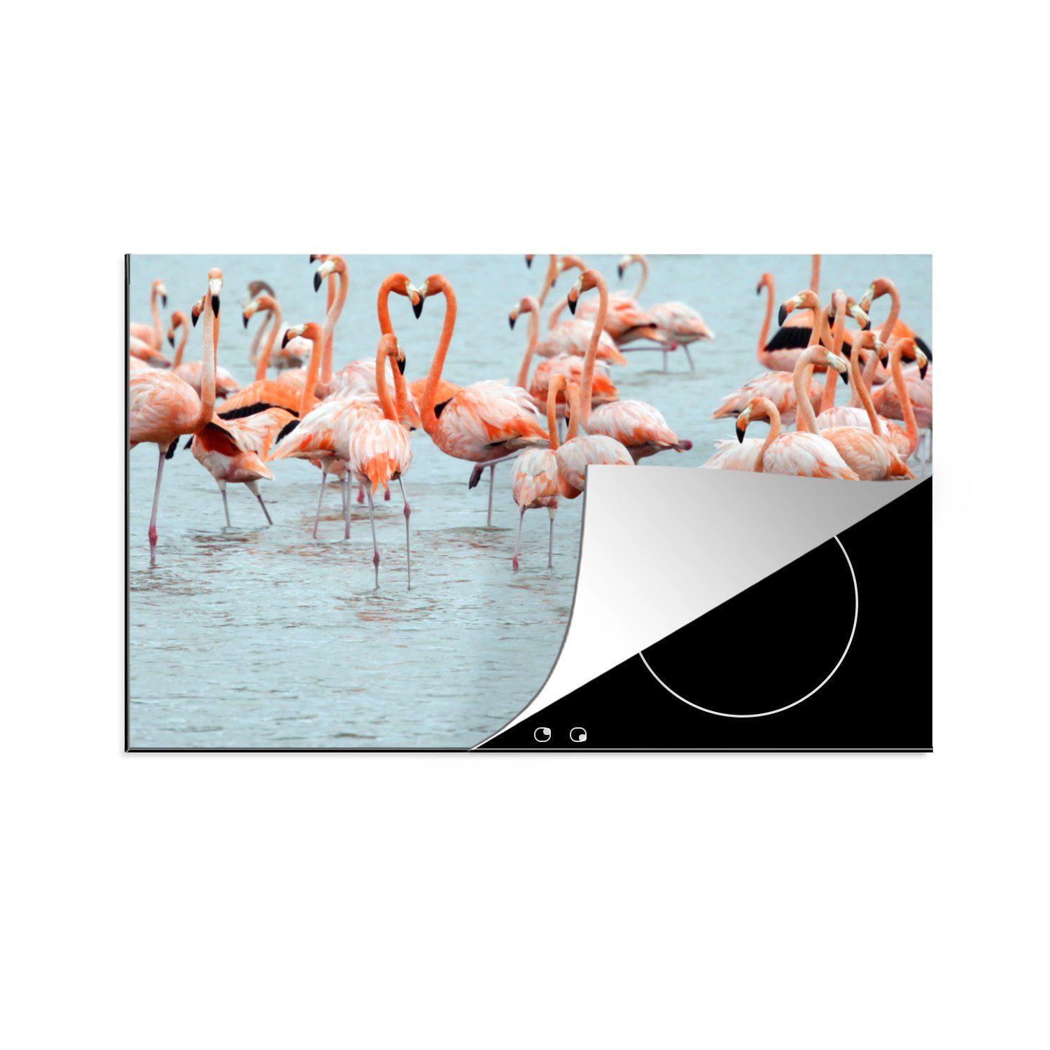 MuchoWow Herdblende-/Abdeckplatte Vögel - Tiere - Curaçao, Vinyl, (1 tlg), 81x52 cm, Induktionskochfeld Schutz für die küche, Ceranfeldabdeckung