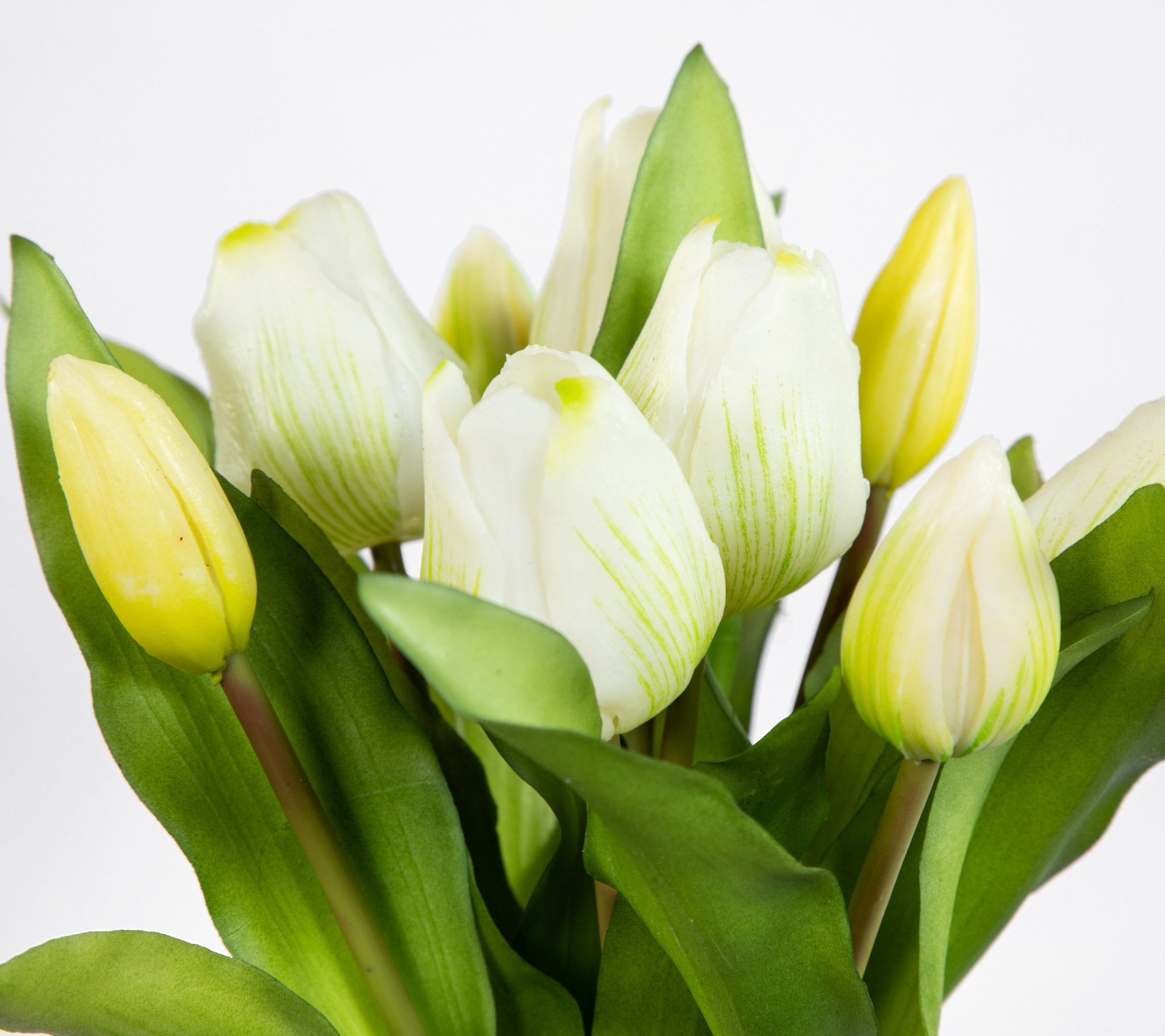Kunstblume Tulpenbund Nature Real Touch 32x26cm mit 10 Blüten LM künstliche Tulpe, Seidenblumen Roß, Höhe 32 cm, Weiß – Bild 5 von 5