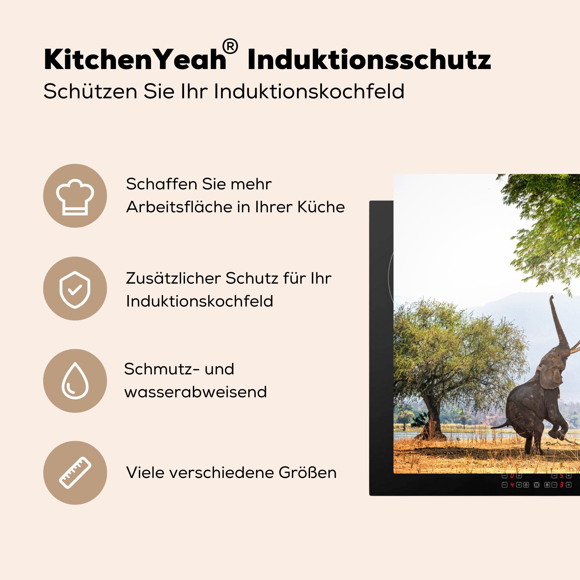 MuchoWow Herdblende-/Abdeckplatte Elefanten in (1 Ceranfeldabdeckung 60x52 tlg), cm, Simbabwe erreichen, Arbeitsfläche Vinyl, Mobile nutzbar