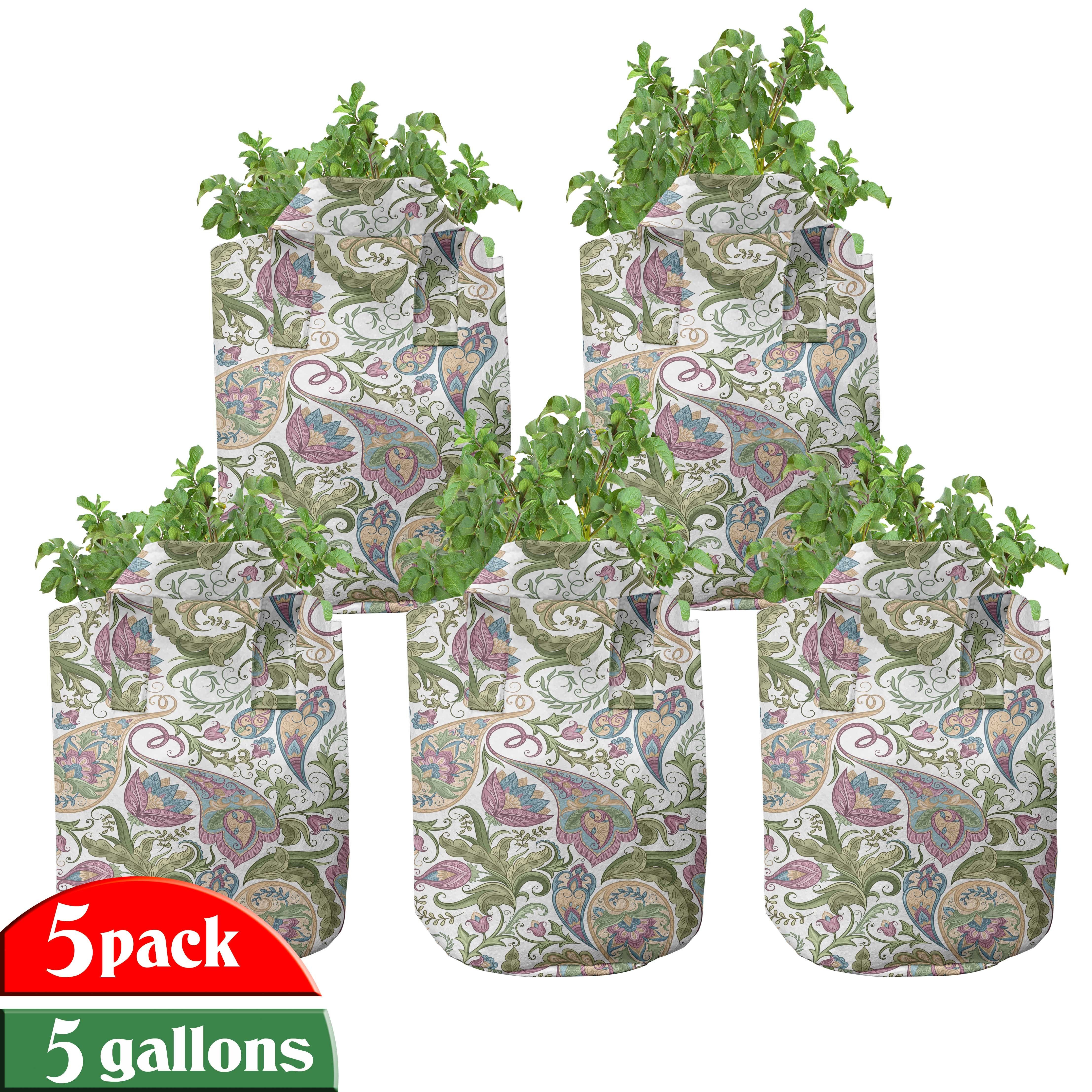 Abakuhaus mit Verziert Griffen Jahrgang Stofftöpfe Pflanzkübel Persian für Pickles hochleistungsfähig Pflanzen,