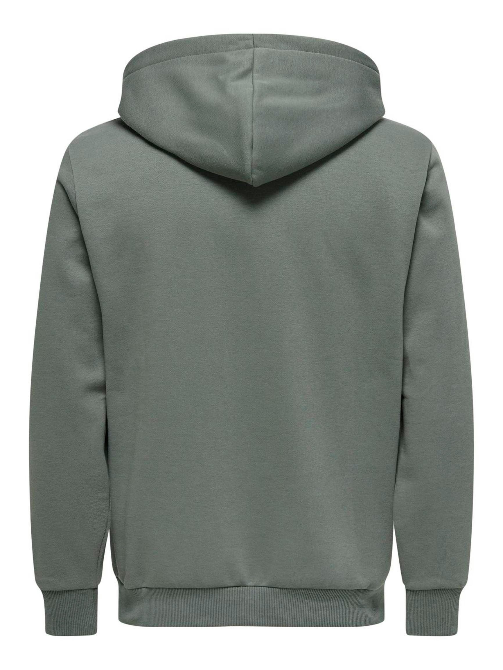 ONLY & SONS Hoodie günstig online kaufen