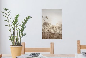OneMillionCanvasses® Leinwandbild Schilf - Stilleben - Himmel, (1 St), Leinwandbild fertig bespannt inkl. Zackenaufhänger, Gemälde, 20x30 cm