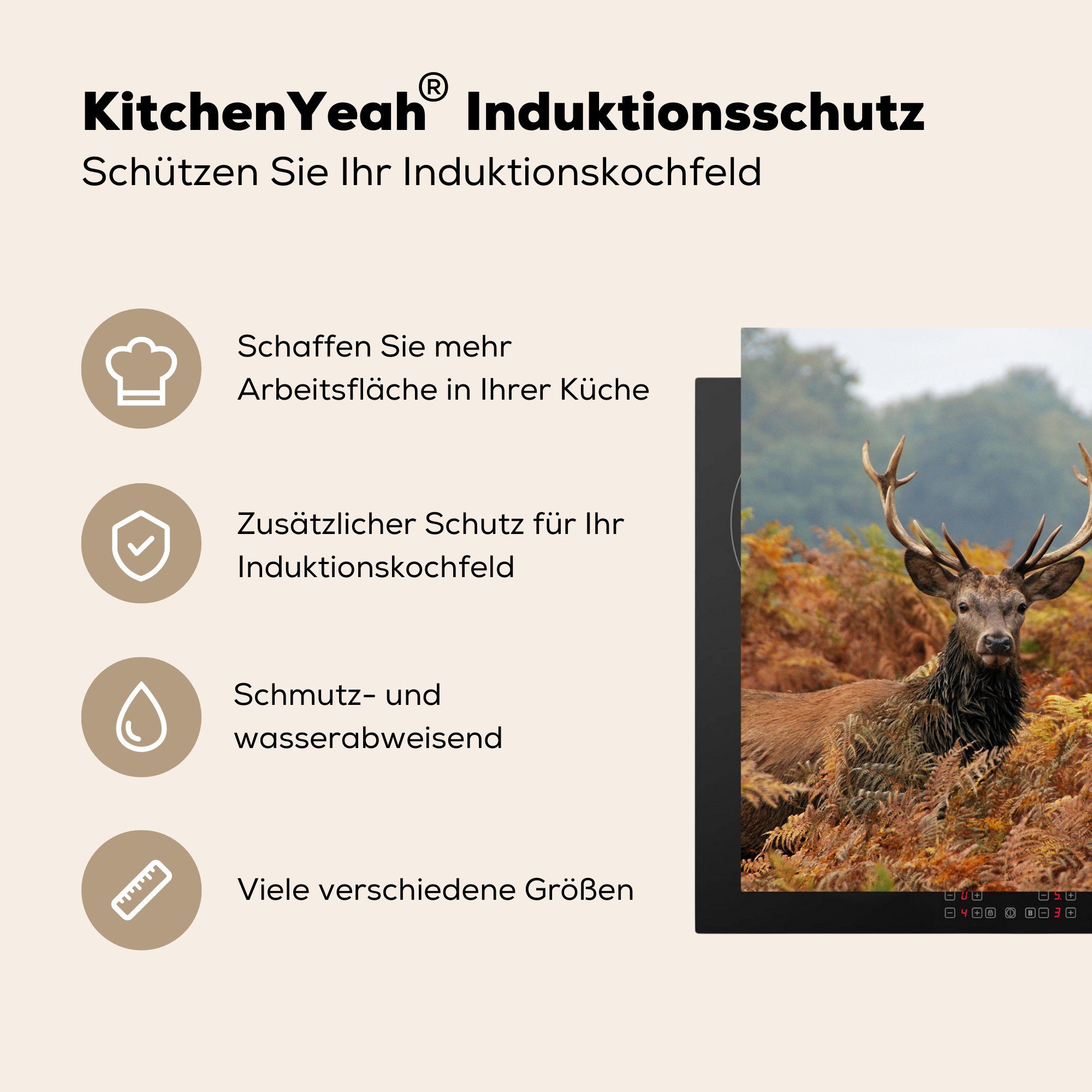 MuchoWow Herdblende-/Abdeckplatte Hirsch - tlg), Vinyl, cm, - Baum (1 Ceranfeldabdeckung, für 78x78 Herbst, Arbeitsplatte küche