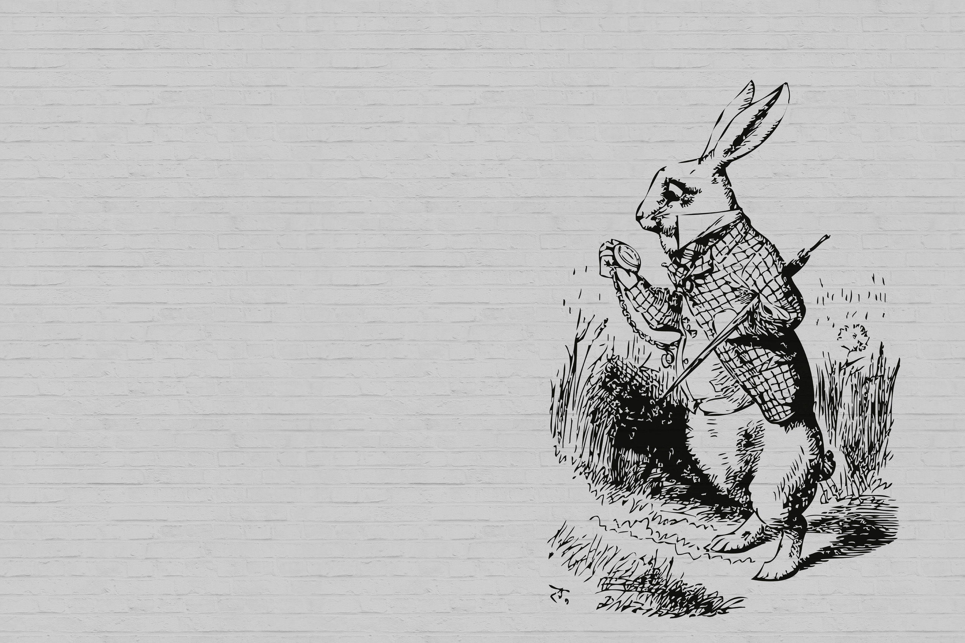 A.S. Création schwarz Hase (1 weiß, bunny, St), Zeichnung Bild Keilrahmen Tiere Schwarz-Weiß Leinwandbild