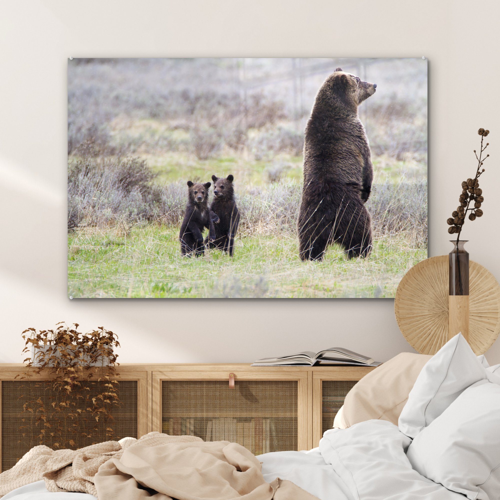 MuchoWow Acrylglasbild Bild einer Schlafzimmer Wohnzimmer & Grizzlybärin Jungtieren, St), (1 mit Acrylglasbilder ihren