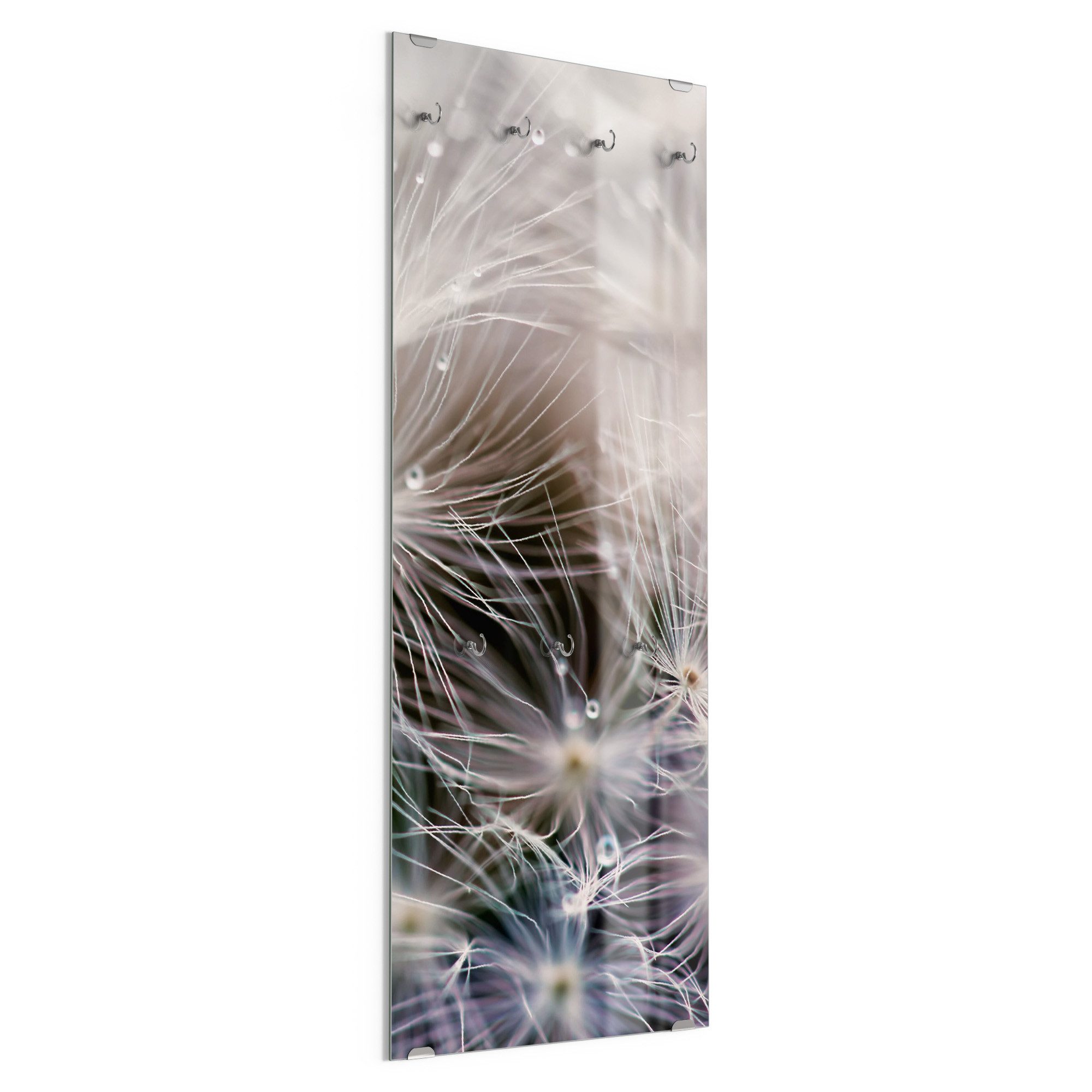 DEQORI Kleiderhaken 'Detailaufnahme Pusteblume', Glas Garderobe hängend Flur Jackenhalter modern Wandgarderobe Haken