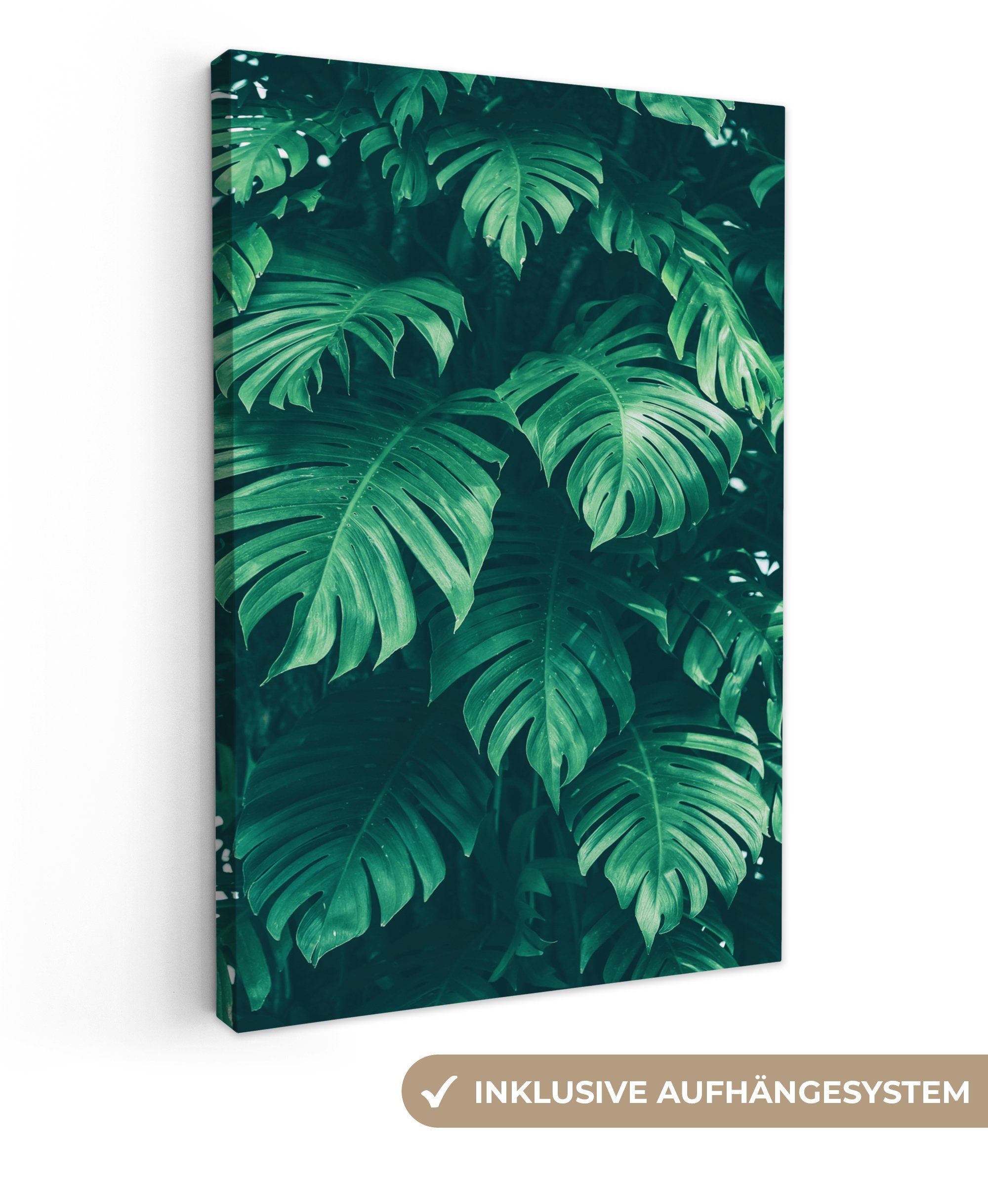OneMillionCanvasses® Leinwandbild Monstera - Blätter - günstig online kaufen