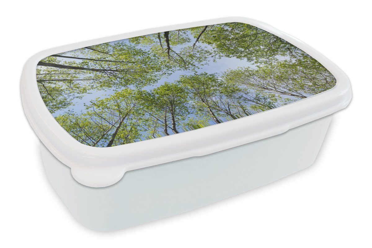 MuchoWow Lunchbox Sommer - Bäume - Himmel, Kunststoff, (2-tlg), Brotbox für Kinder und Erwachsene, Brotdose, für Jungs und Mädchen weiß