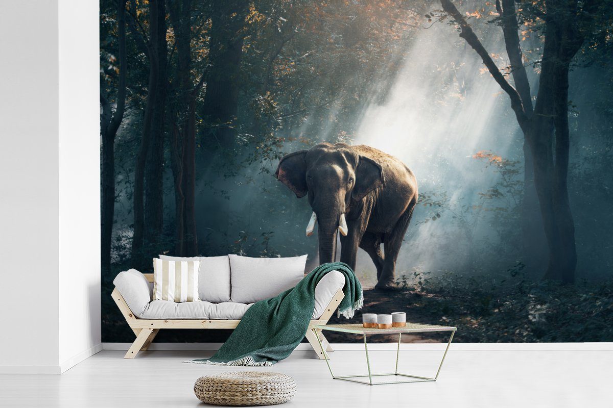 Kinderzimmer, Schlafzimmer, - (6 St), Sonne, Elefant - Wohnzimmer, für Matt, Tapete Wallpaper bedruckt, MuchoWow Wald Fototapete Vinyl