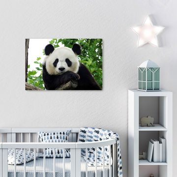 wandmotiv24 Leinwandbild Panda, Bär, Tier, schwarz, weiß, Tiere (1 St), Wandbild, Wanddeko, Leinwandbilder in versch. Größen