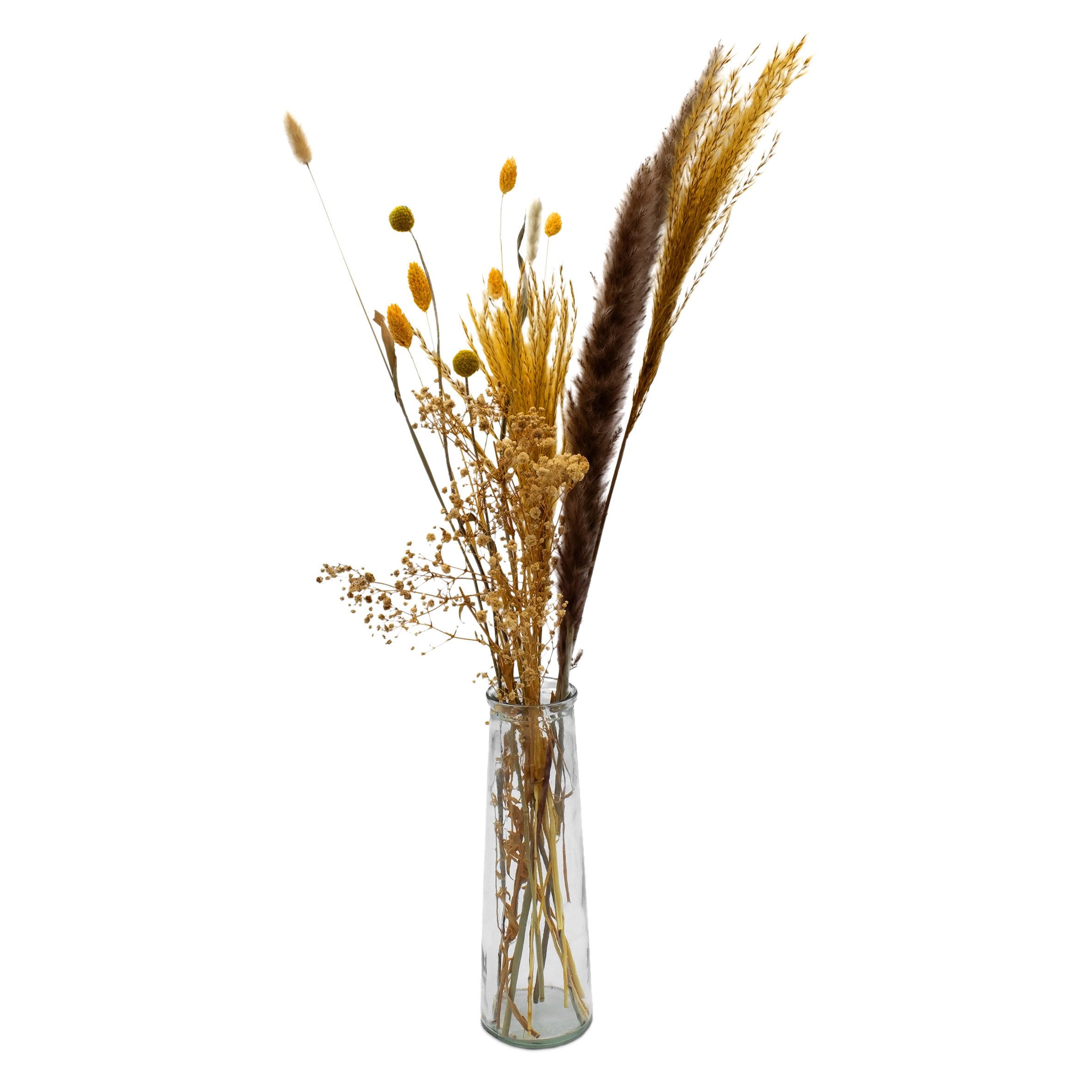 Trockenblume Bündel