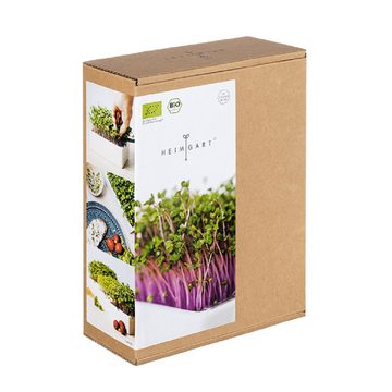 Heimgart Kräutertopf Microgreens Starter-Kit + Saatpad Brokkoli (3 St)