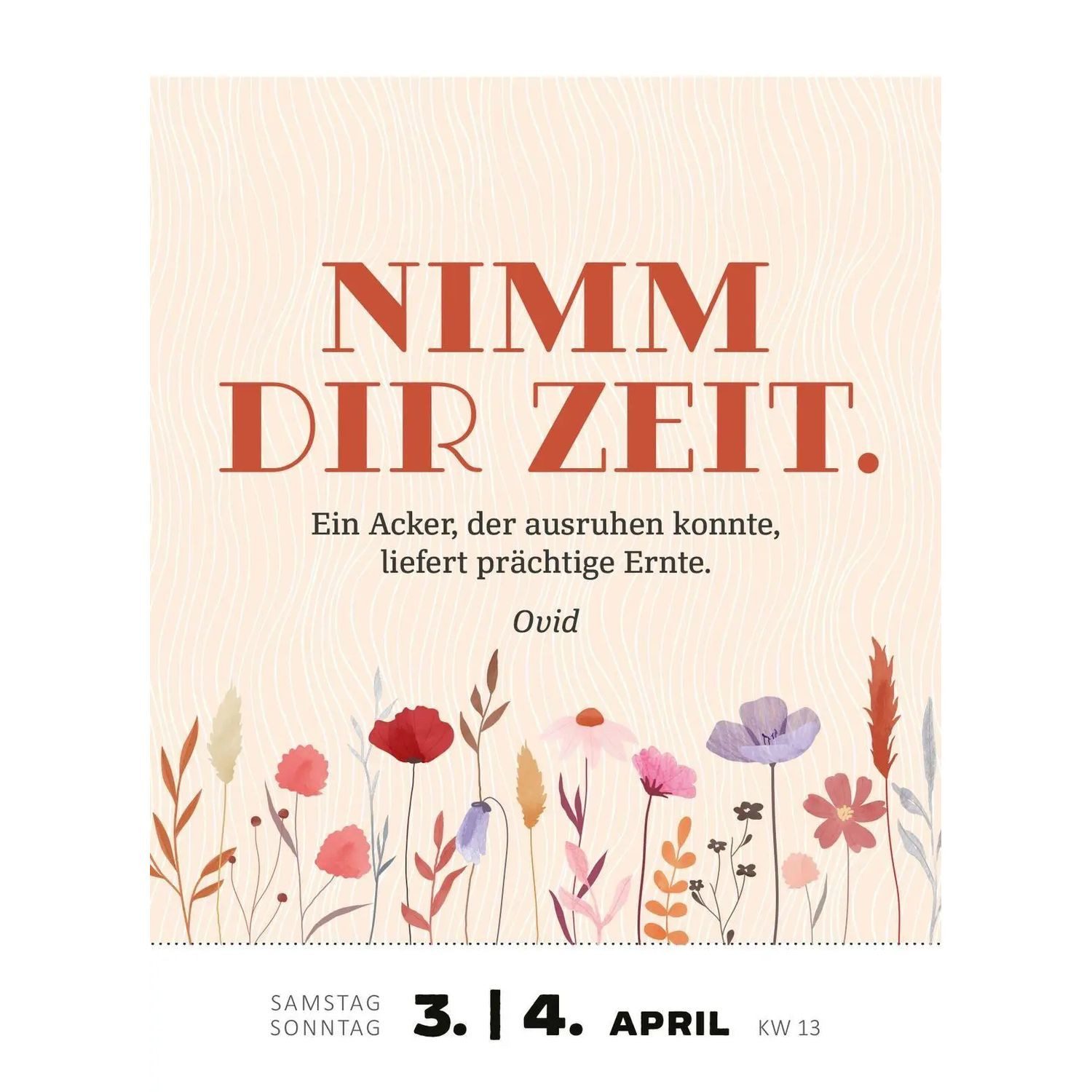 Ars Edition Abreißkalender Abreißkalender Glücksmantras 2027