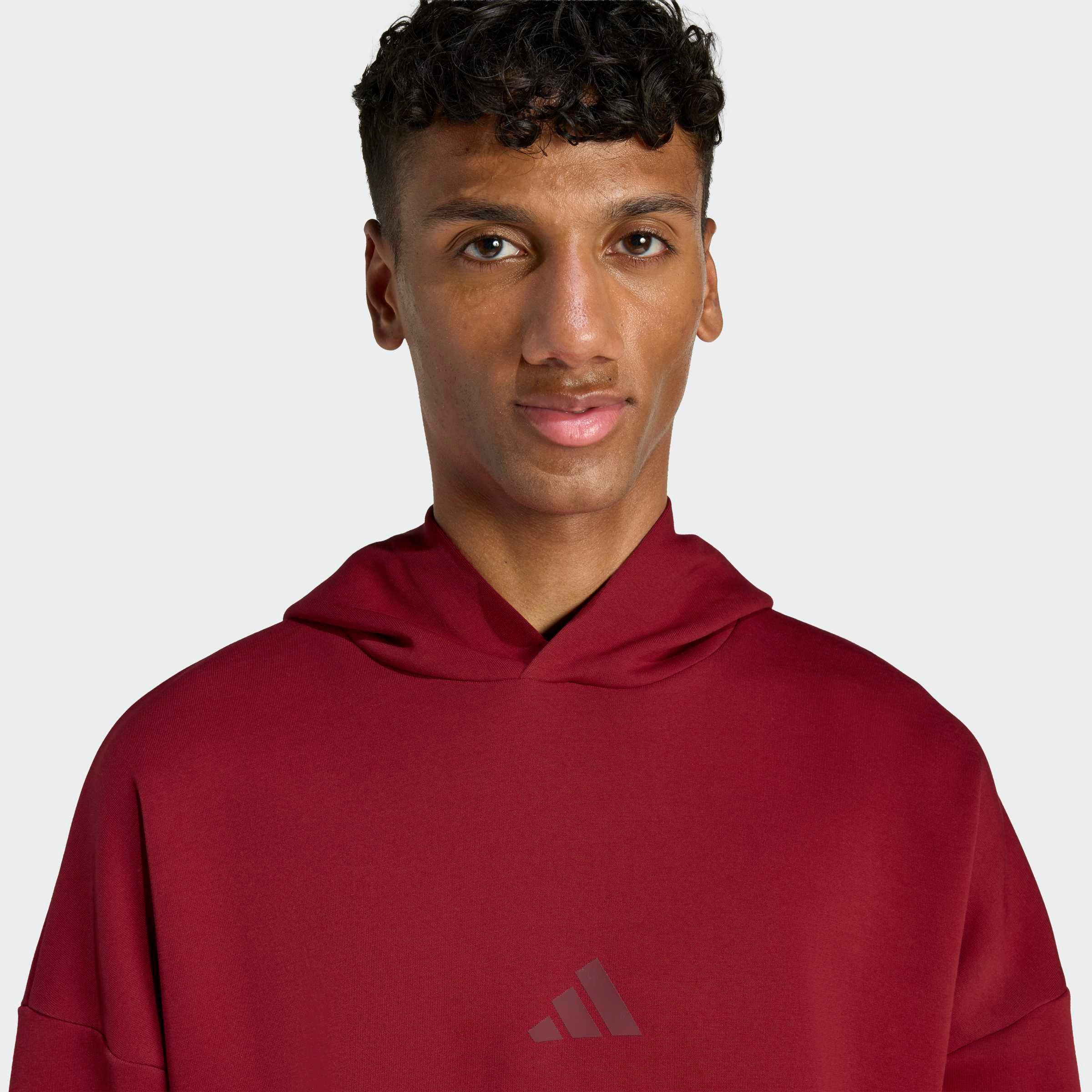adidas Sportswear Kapuzensweatshirt FUTURE ICONS SMALL LOGO HOODIE für Erwachsene, ohne Verschluss, aus Baumwolle