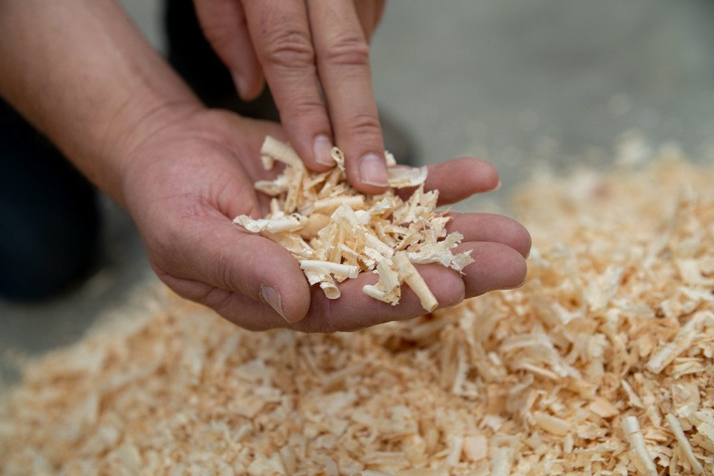 geborgenschlafen Zirbenkissen mit Schafschurwolle – Höhenverstellbar – Bio günstig online kaufen