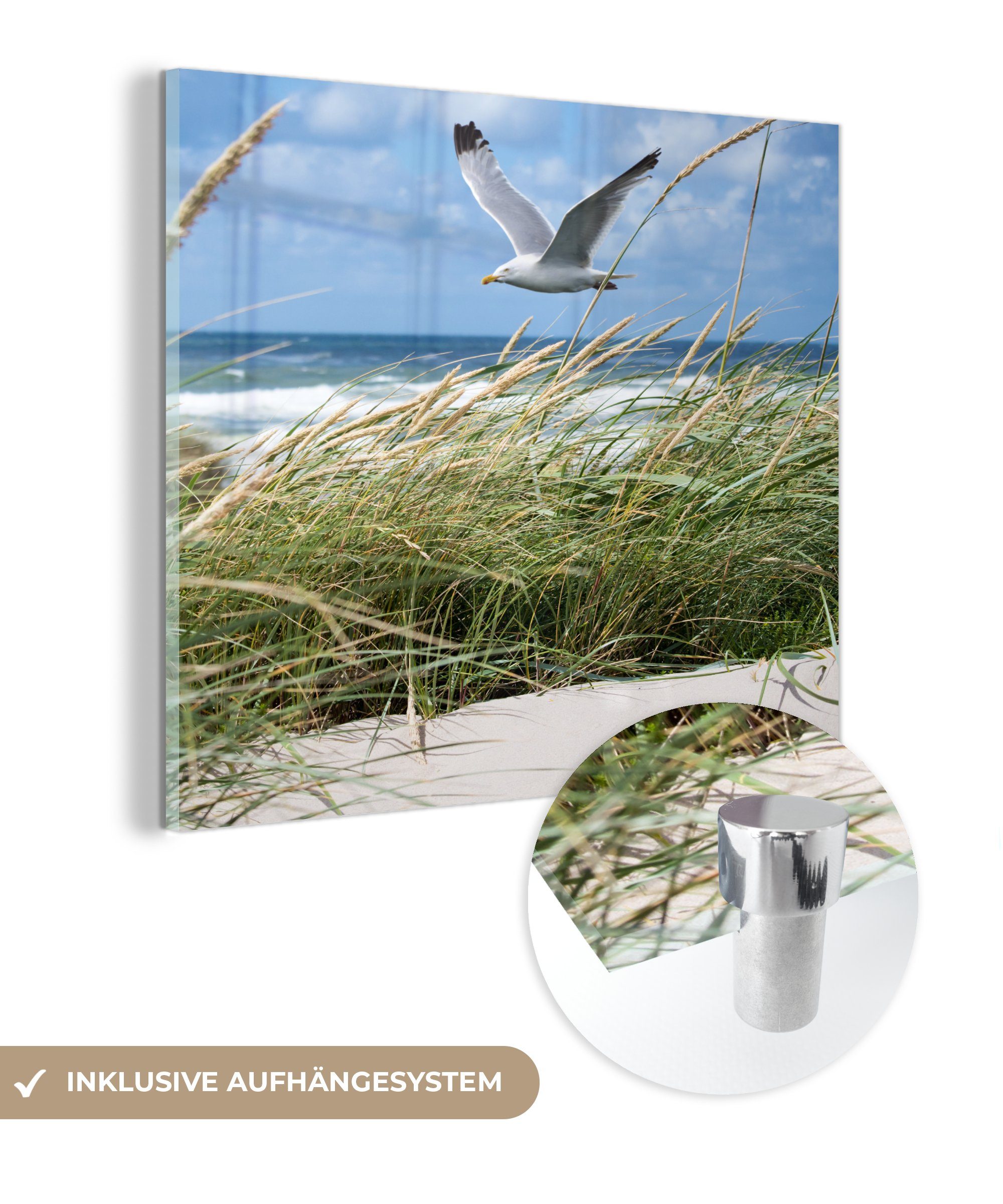 MuchoWow Acrylglasbild Strand - Pflanzen - Vogel, (1 St), Glasbilder - Bilder auf Glas Wandbild - Foto auf Glas - Wanddekoration