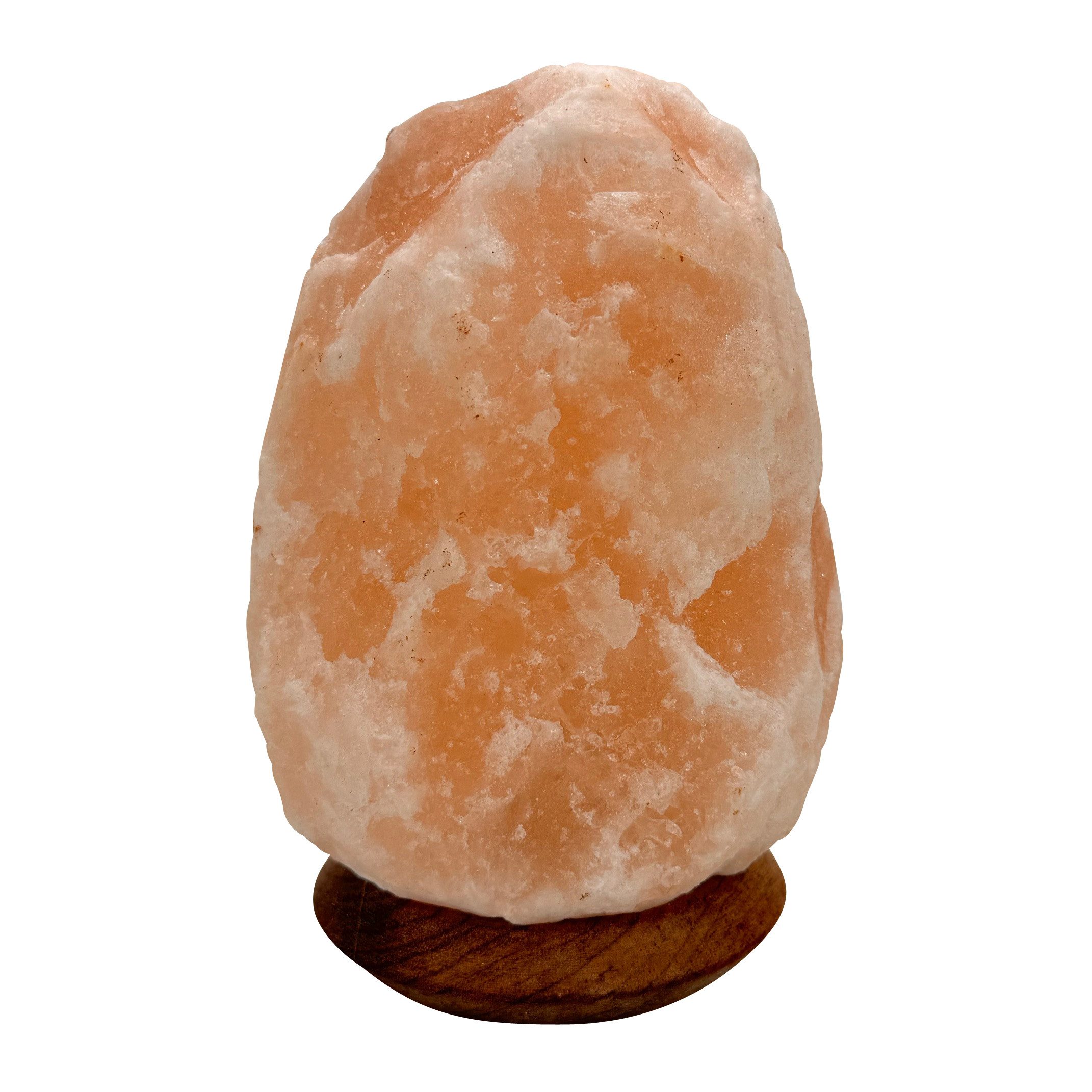 HIMALAYA SALT DREAMS Salzkristall-Tischlampe Rock - Handgefertigt, jeder St günstig online kaufen