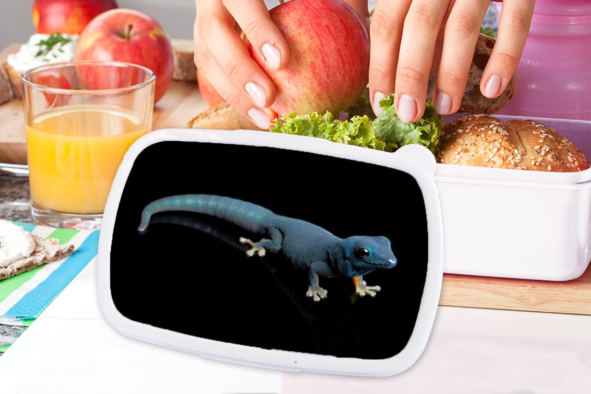 auf für und für Brotdose, Kunststoff, Mädchen Brotbox Kinder Jungs MuchoWow Hintergrund, (2-tlg), und schwarzem Erwachsene, weiß Blauer Lunchbox Gecko